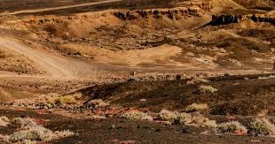 每体：巴萨考虑明年夏天去巴西进行季前训练和比赛