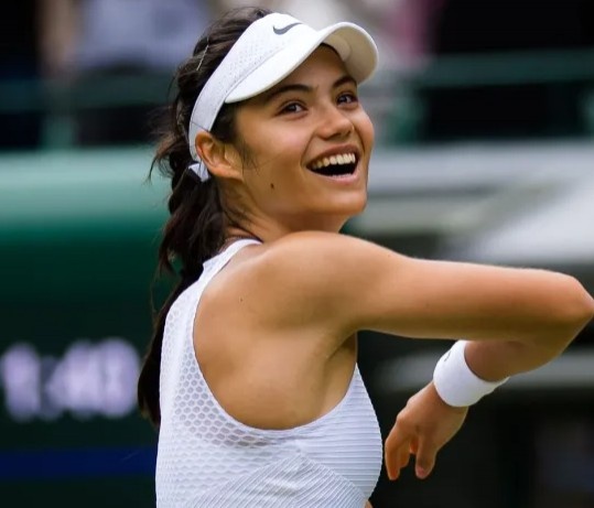 手可热的新 手可热的新