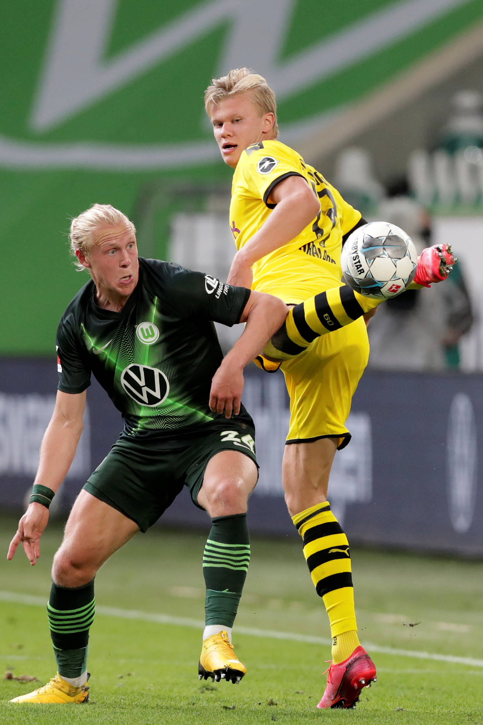 他们的成长 他们的成长